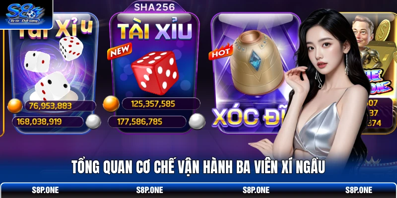 Tổng quan cơ chế vận hành ba viên xí ngầu